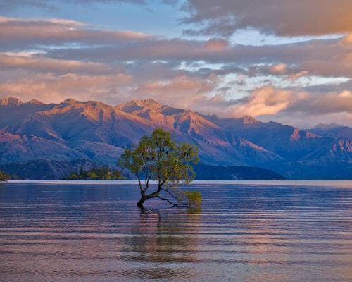 Wanaka
