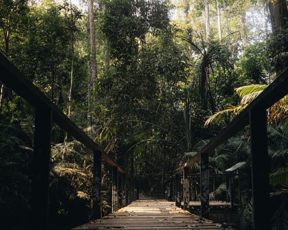 Khao Yai Nationaal Park