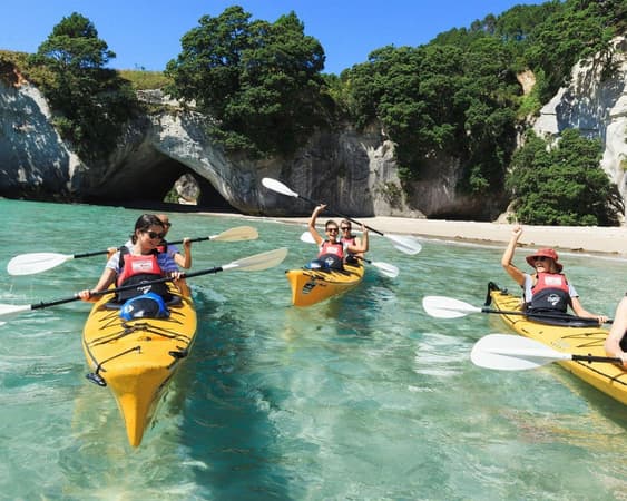 Coromandel schiereiland