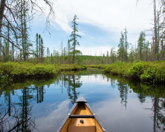 Algonquin Provinciaal Park, Ontario