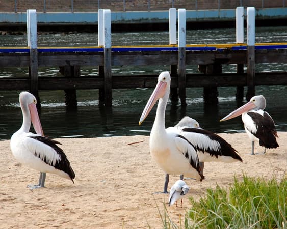 Lakes Entrance, Victoria