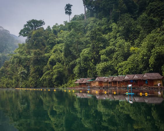 Khao Sok Nationaal Park