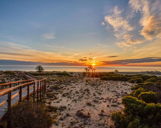 Alicante (Provincie)