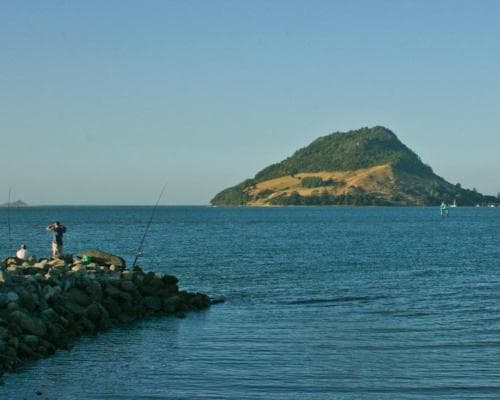 Tauranga