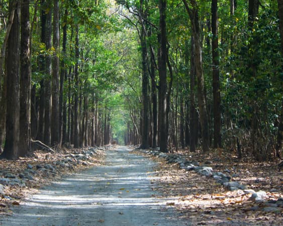 Welgevonden Wildreservat