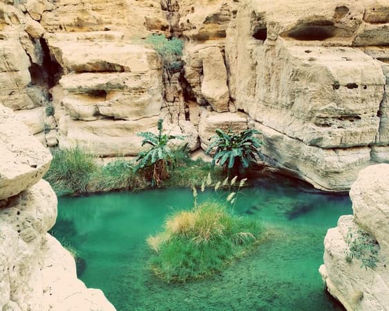 Wadi Shab