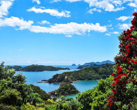 Bay Of Islands