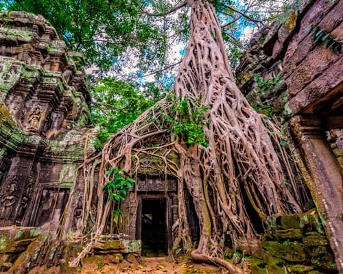 Angkor