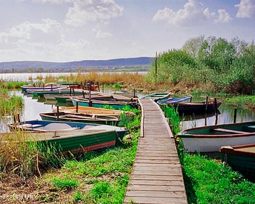 Lake Balaton