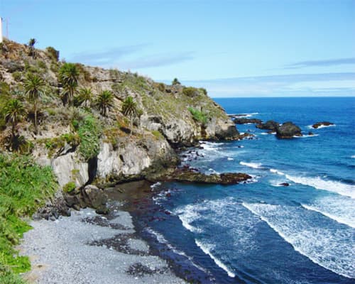 Los Realejos - Tenerife Norte