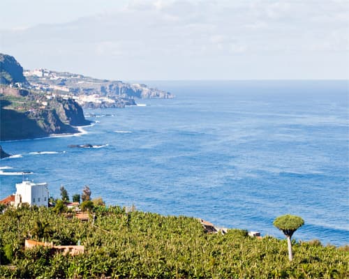 Los Realejos - Tenerife Norte