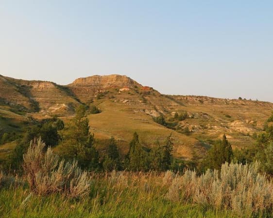 Medora ND