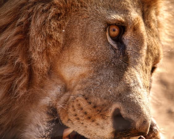 Khomas (Region), Namibia