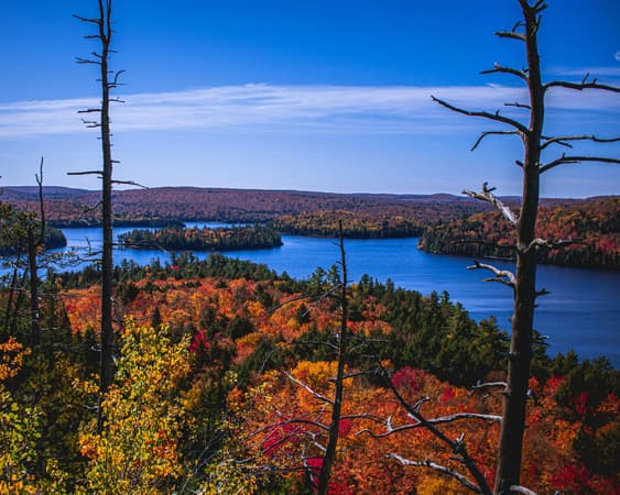 Algonquin Provinciaal Park, Ontario