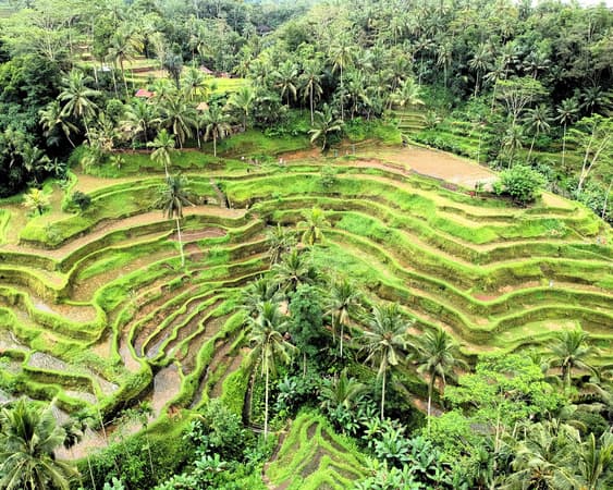 Ubud, Bali