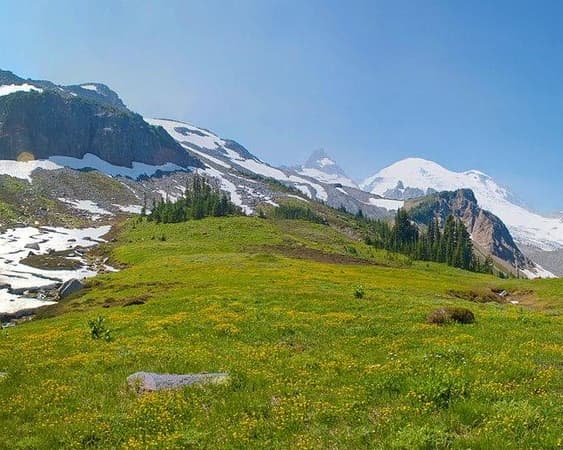 Mount Rainier National Park WA