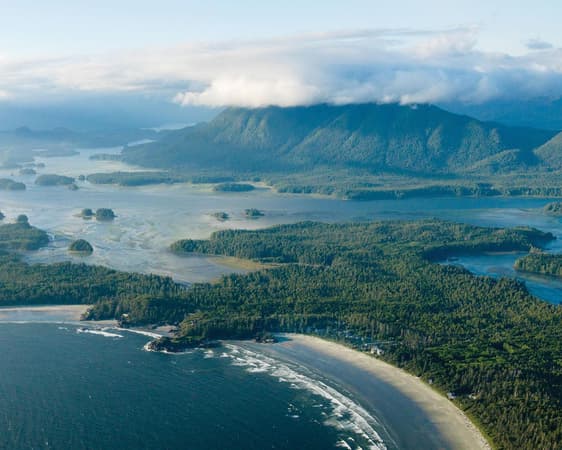 Tofino