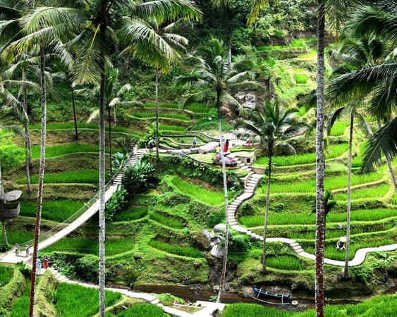 Ubud, Bali