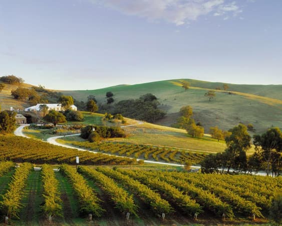 Barossa Valley