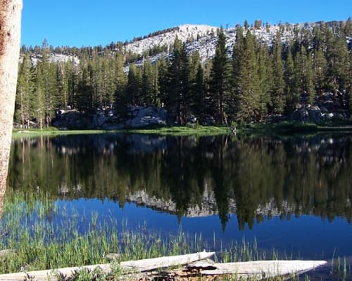 Parco nazionale di Sequoia e Kings Canyon CA