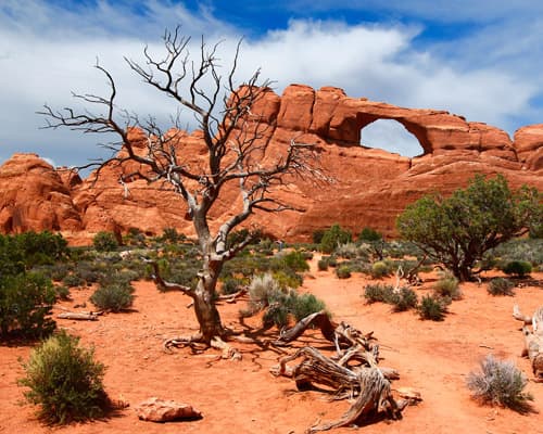 Arches National Park UT