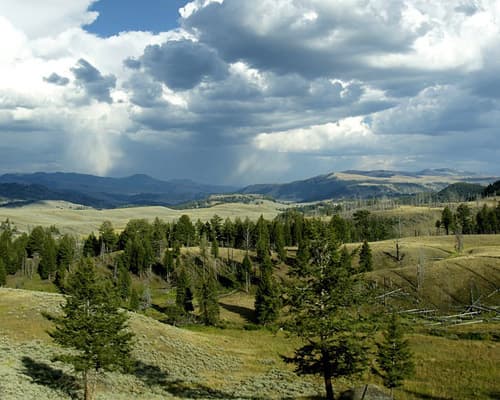 Yellowstone National Park WY