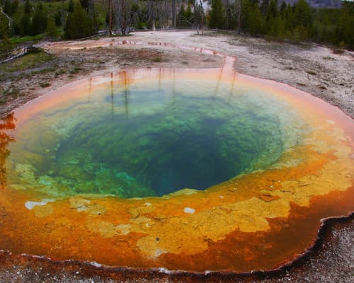 Yellowstone National Park WY