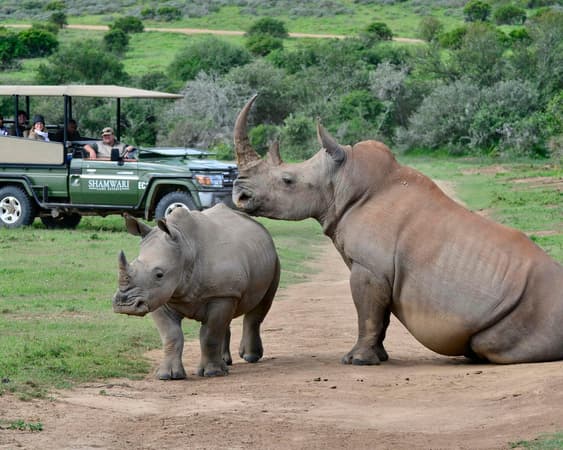 Shamwari Wildreservaat