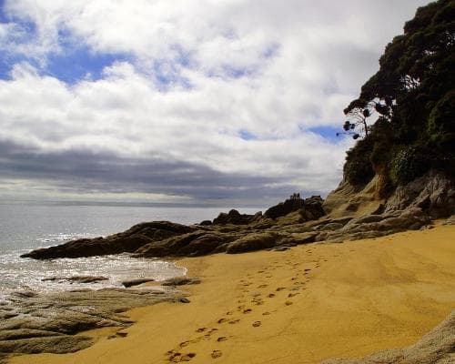 Abel Tasman National Park