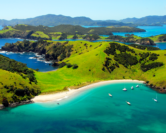 Bay Of Islands