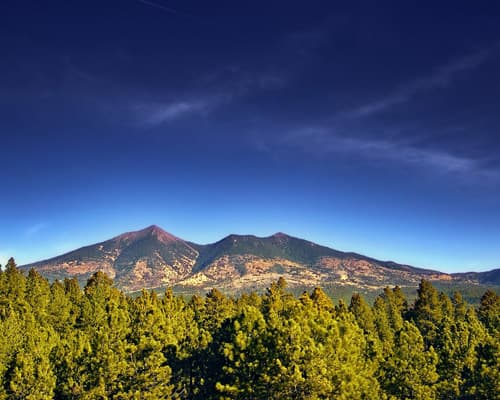 Flagstaff AZ