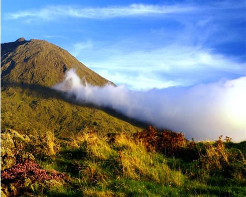 Ilha Do Pico