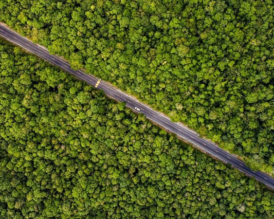 Khao Yai Nationaal Park