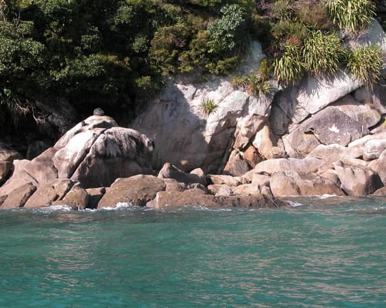 Abel Tasman National Park