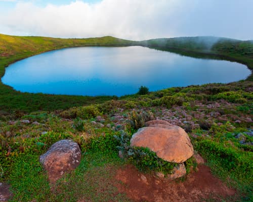 The Galapagos Islands