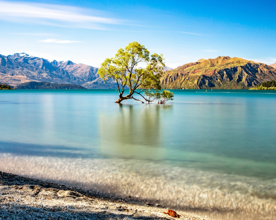 Wanaka