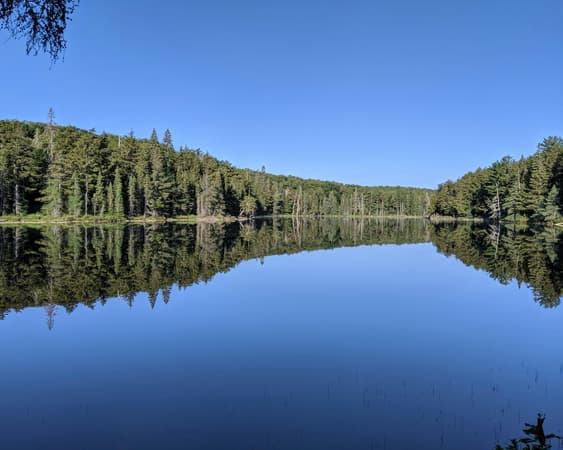 Algonquin Provinciaal Park, Ontario