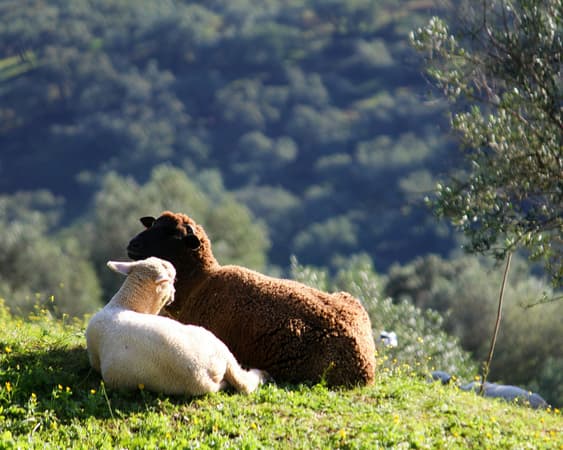 Overnachten in Estremoz