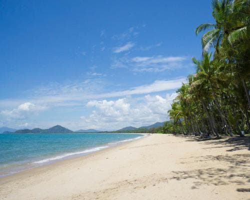 Palm Cove