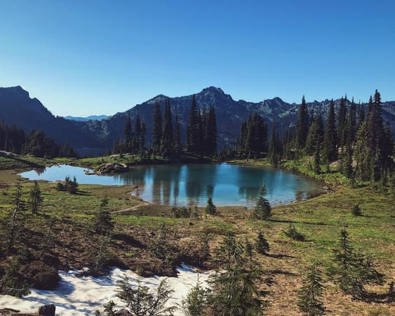 Mount Rainier National Park WA