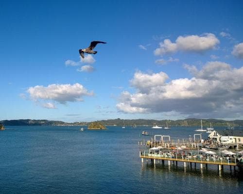 Paihia