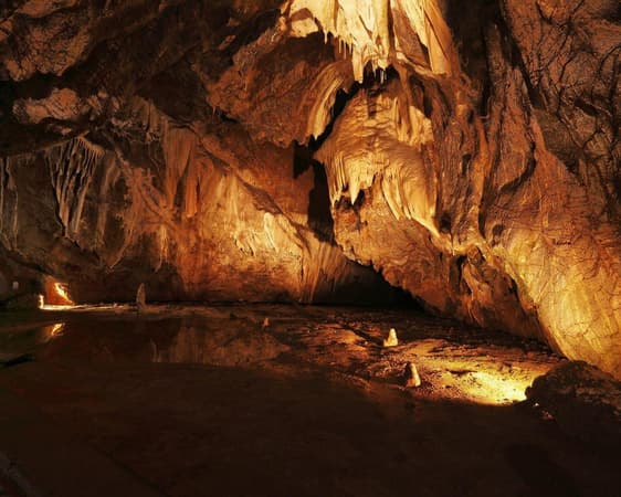 Capricorn Caves