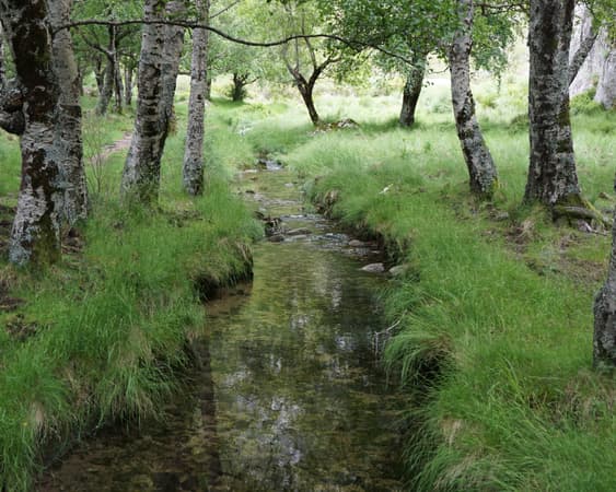 Parque Natural da Serra da Estrela