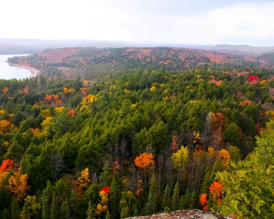 Algonquin Park