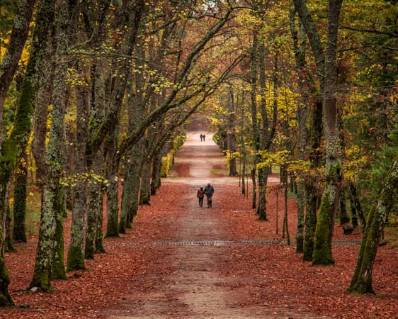 Palacio Real de La Granja de San Ildefonso