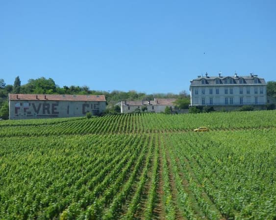 Château de Pommard winery