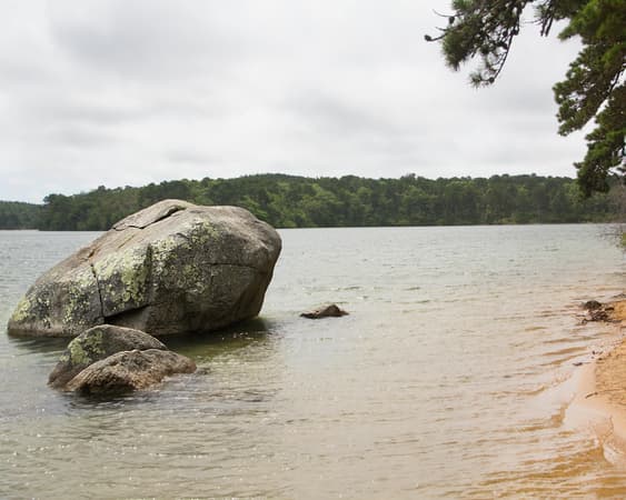 Nickerson State Park