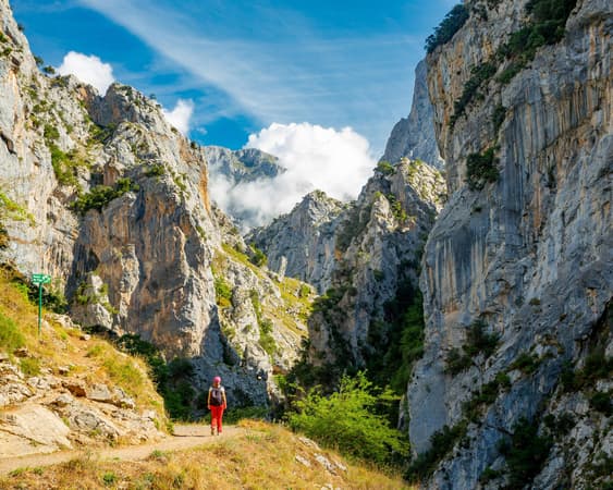 Parque Nacional Picos de Europa