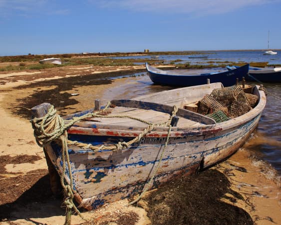 Parque Natural da Ria Formosa