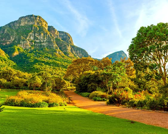 Kirstenbosch National Botanical Garden
